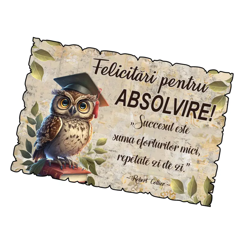 Felicitari pentru absolvire, magnet frigider, model mgs304